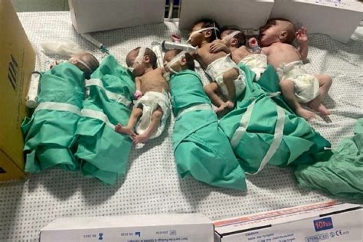 Abandoned babies found decomposing in Gaza hospital weeks after it was evacuated