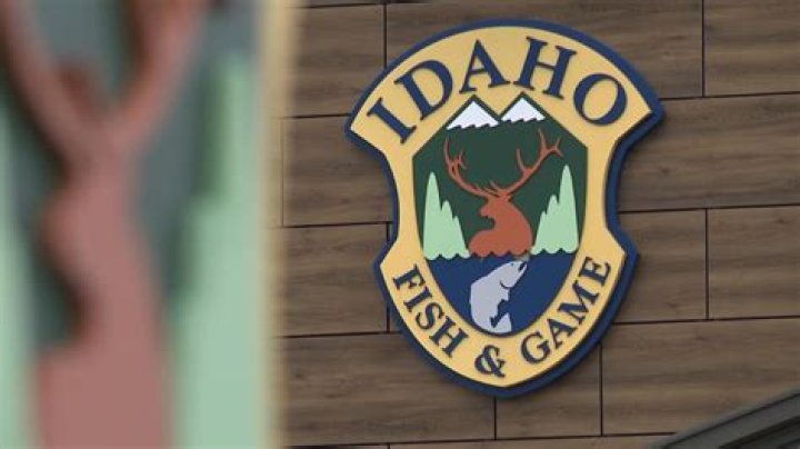 Idaho Fish and Game to stock 4,000 rainbow trout in January